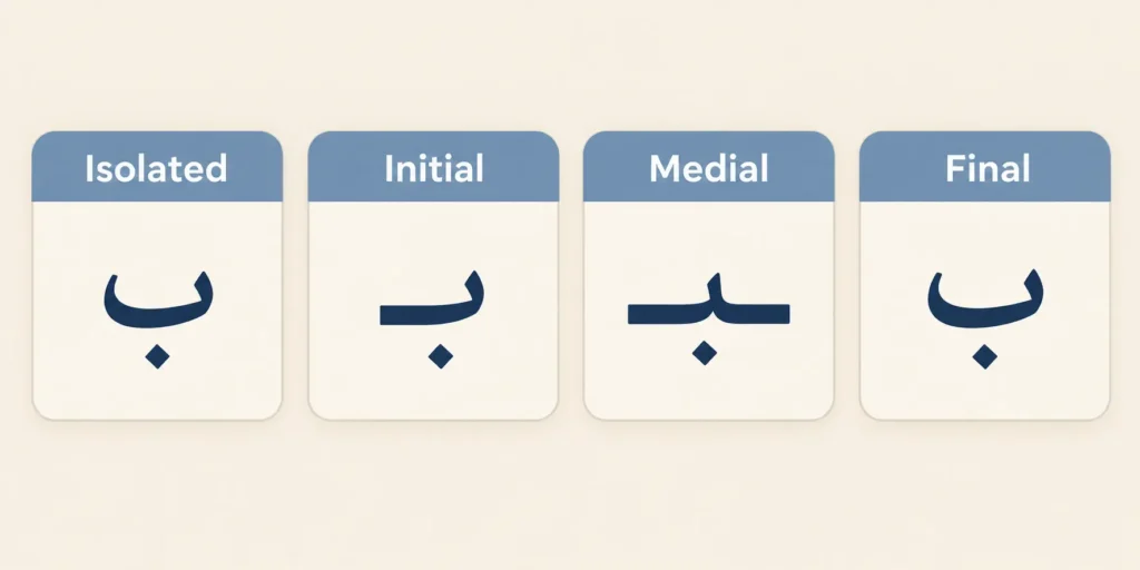 Diagram showing four positions of Arabic letters — isolated, initial, medial, final