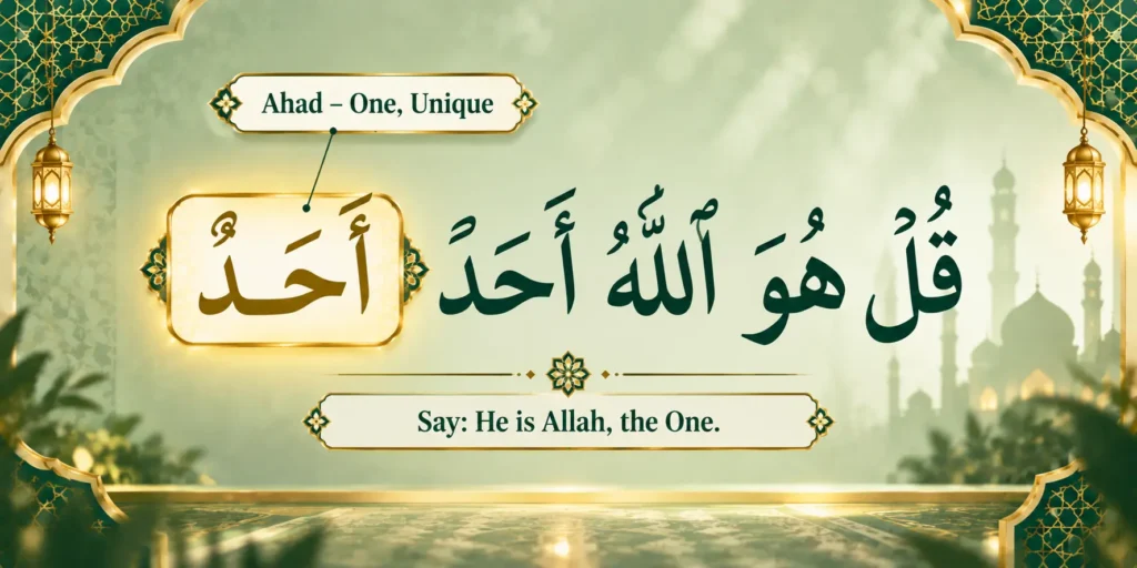 A highlighted Arabic word inside a full verse with its English meaning shown beside it